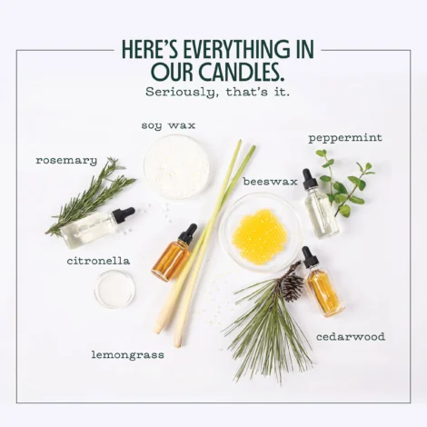 Candle_Murphy_s_OnlineInfographicsRebranded_3_918ead88-0d6d-4b33-ae29-72e35e229462 Candle_Murphy_s_OnlineInfographicsRebranded_3_918ead88-0d6d-4b33-ae29-72e35e229462