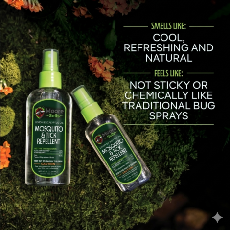 Gemini_Generated_Image_9fmy159fmy159fmy