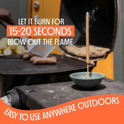 incensestickinfographic20263