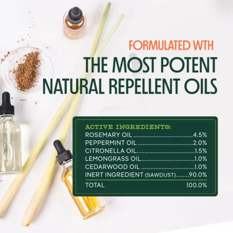 incensestickinfographic20265